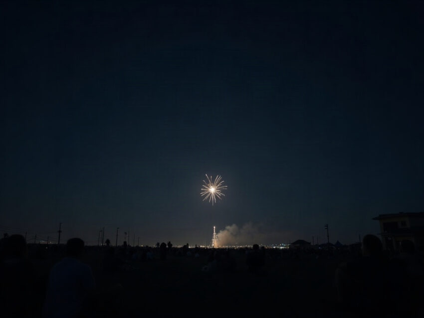 The proposed firework, as it would appear